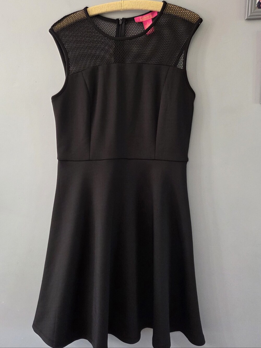 Catherine Malandrino Fit & Flare Black Dress Sleeveless Mesh Goth Women's Size M